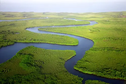 Aerial view of a river branching into several channels
