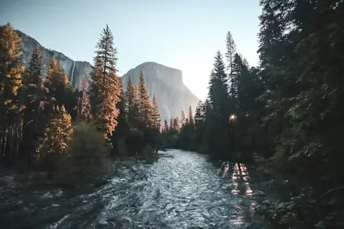 Tagliamento river flowing between forested mountains